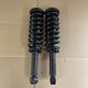 Pair Isuzu D Max GENUINE Left Right side Front Suspension Shock Absorber Spring