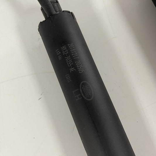 Pair Genuine 2020 Discovery 5 Powered Tailgate Strut Hand Free LR178877 LR178876