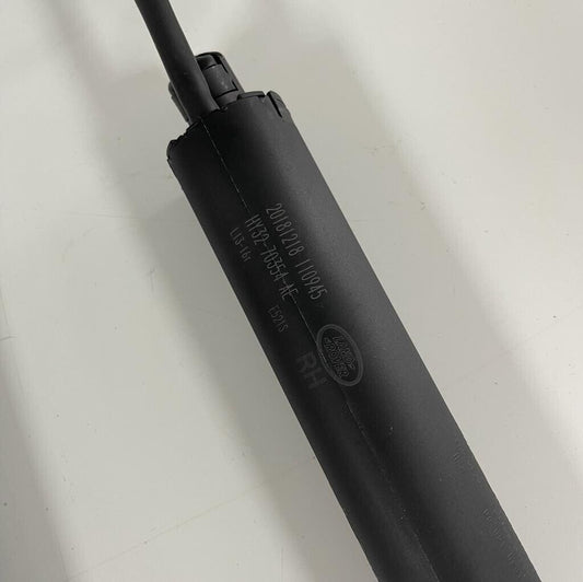 New Pair Genuine Discovery 5 Powered Tailgate Strut Hands Free LR178877 LR178876