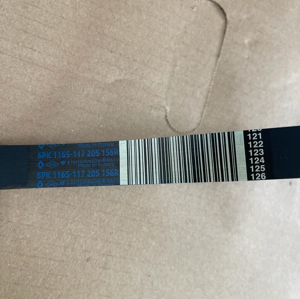 Genuine Original Nissan Drive Belt 6PK 1165 117 205 156R