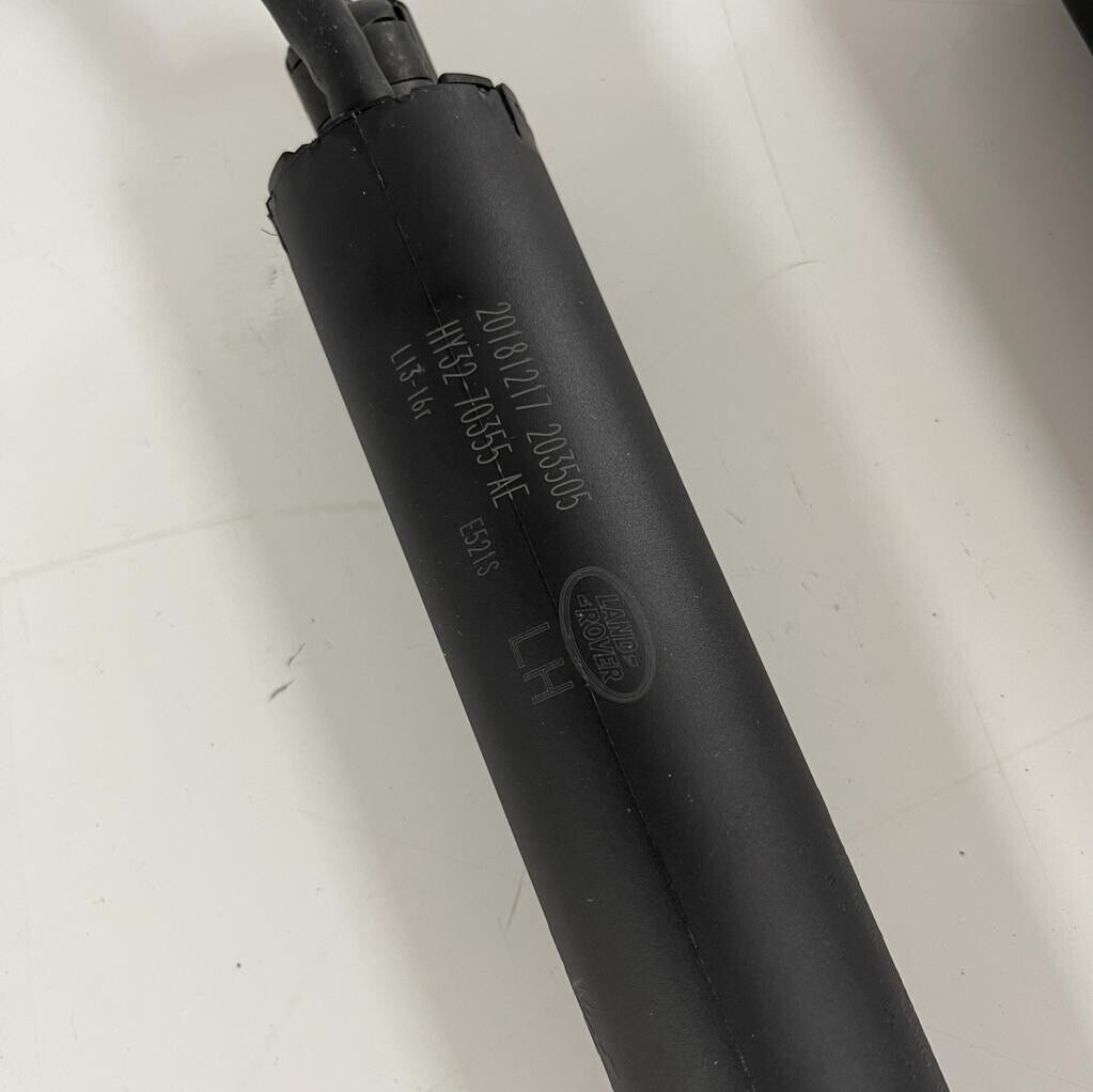 Pair Genuine 2020 Discovery 5 Powered Tailgate Strut Hand Free LR178877 LR178876